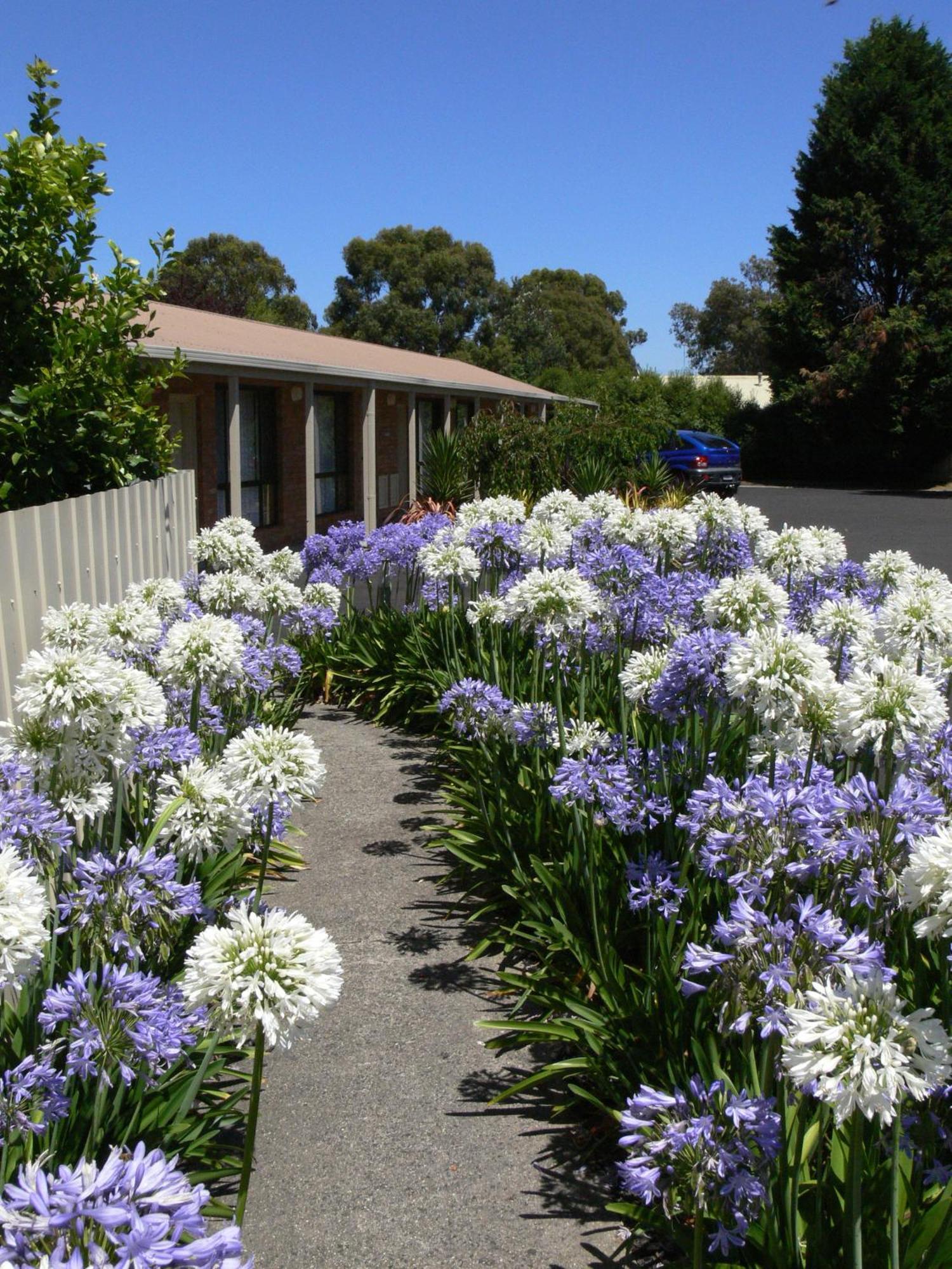 Begonia City Motor Inn Ballarat Eksteriør bilde